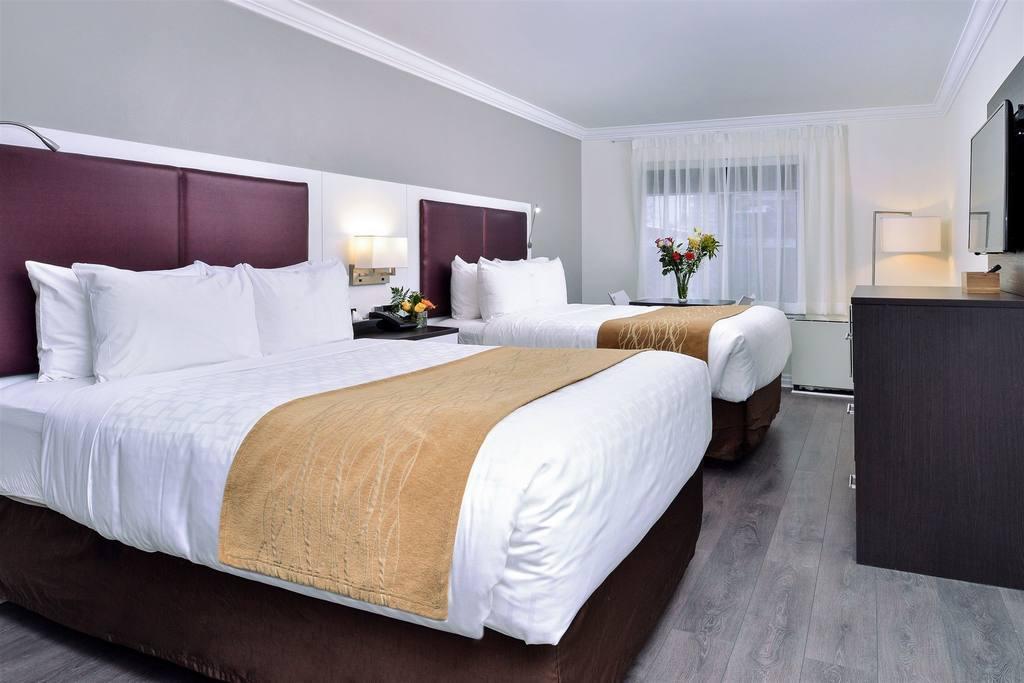 The Saint James Hotel, Ascend Hotel Collection Toronto Exteriör bild