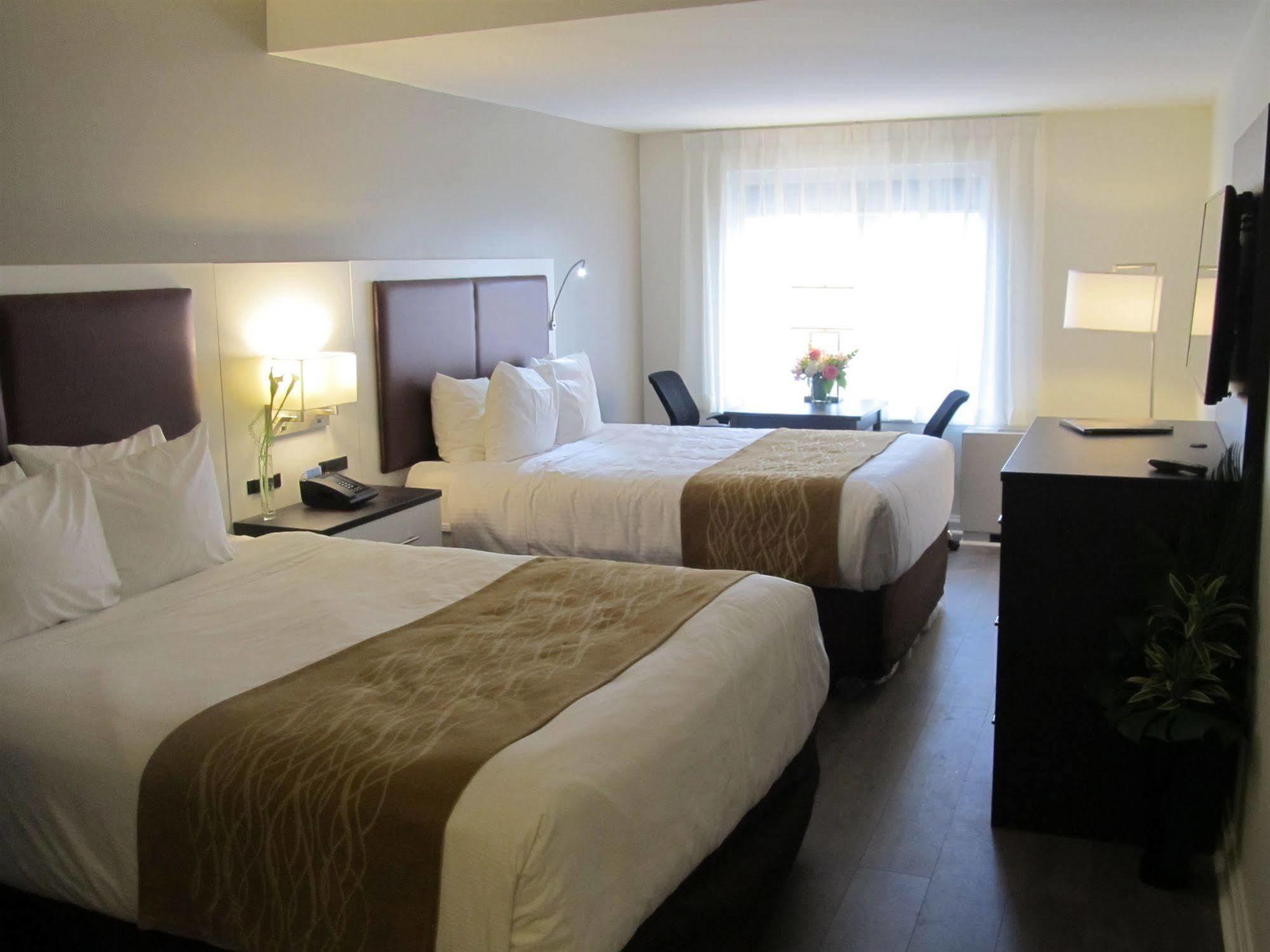 The Saint James Hotel, Ascend Hotel Collection Toronto Exteriör bild